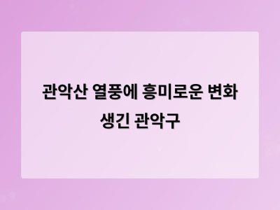 관악산 인기 비결은 야간 조명과 힐링 여행 트렌드였다